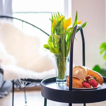 Alicante Gorny By Renters * Zoppot